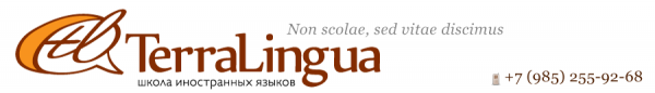 Логотип компании TerraLingua